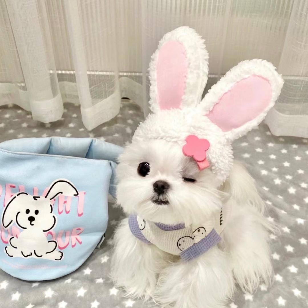 上课犯困