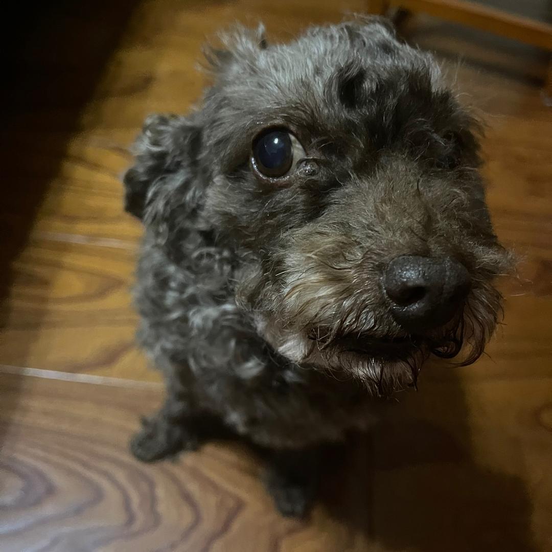 田大奇