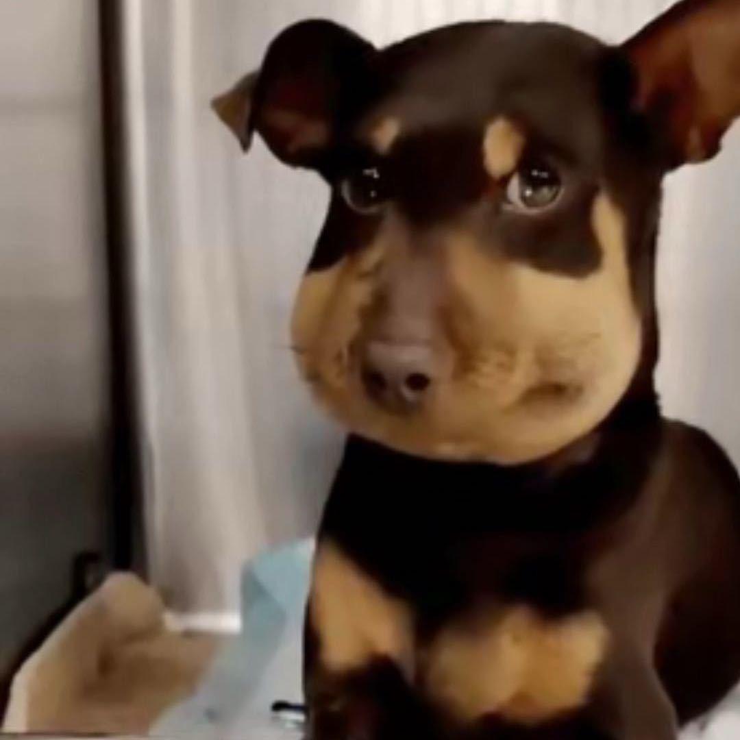 小狒电竞俱乐部