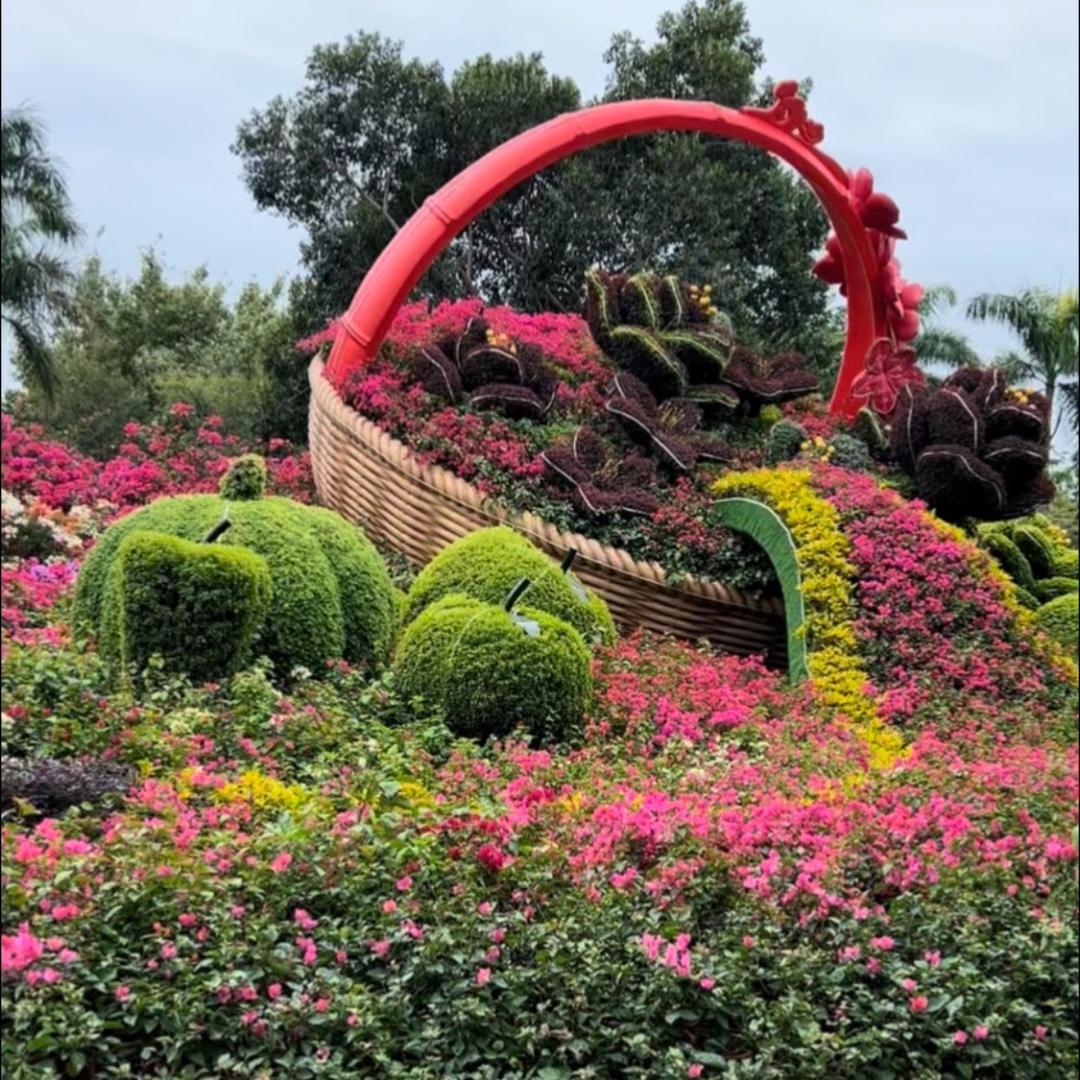 Susan分享花卉、美景