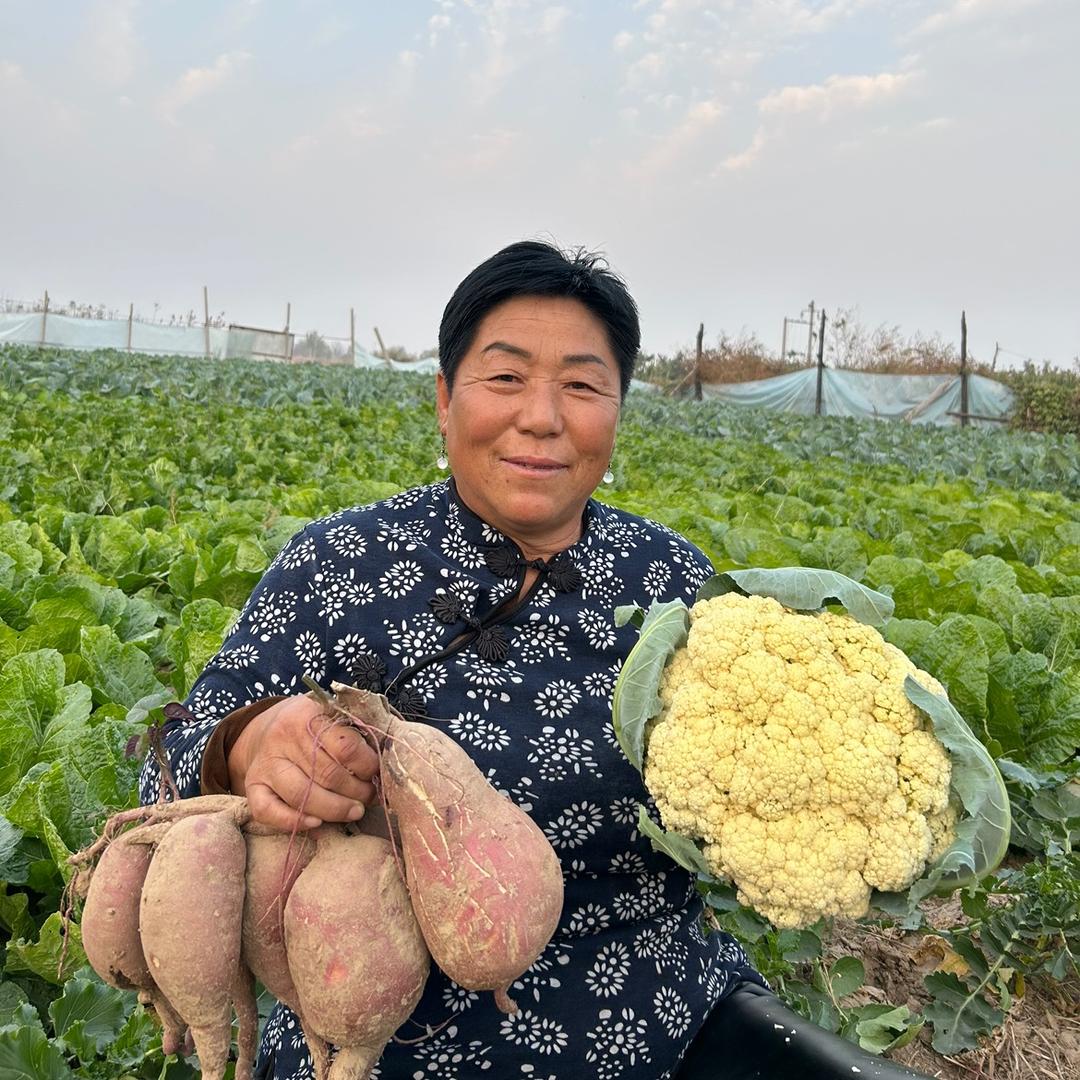 赵金花的幸福生活