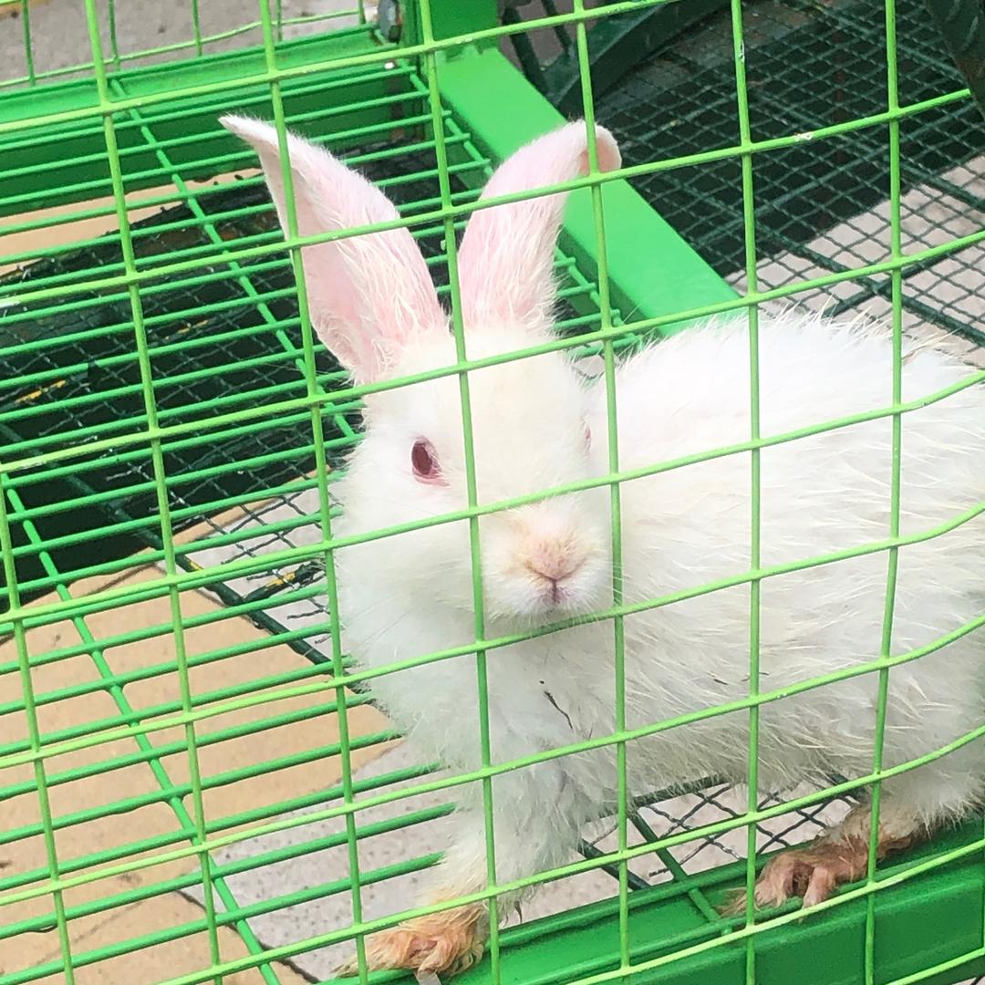 玖月