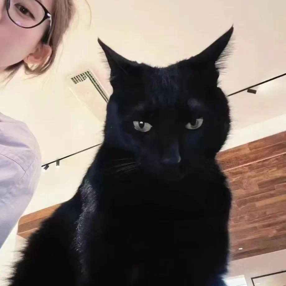 吉吉国王(诛仙2)