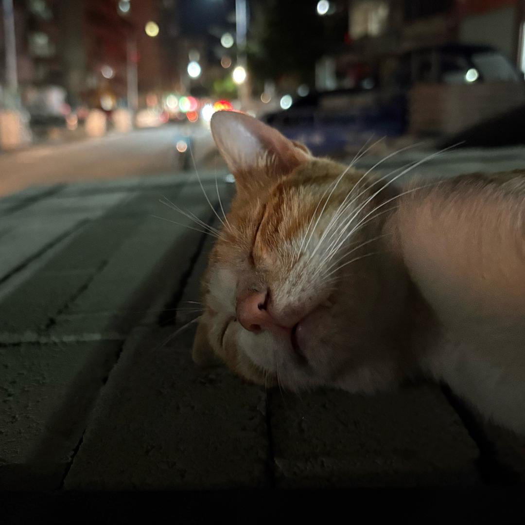 幸福的活下去吧