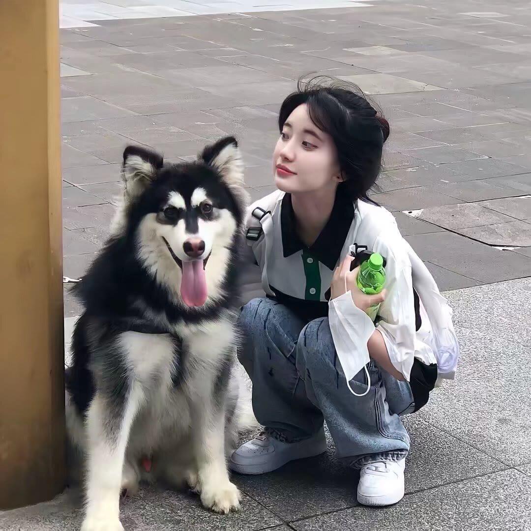か·麦篼🍃