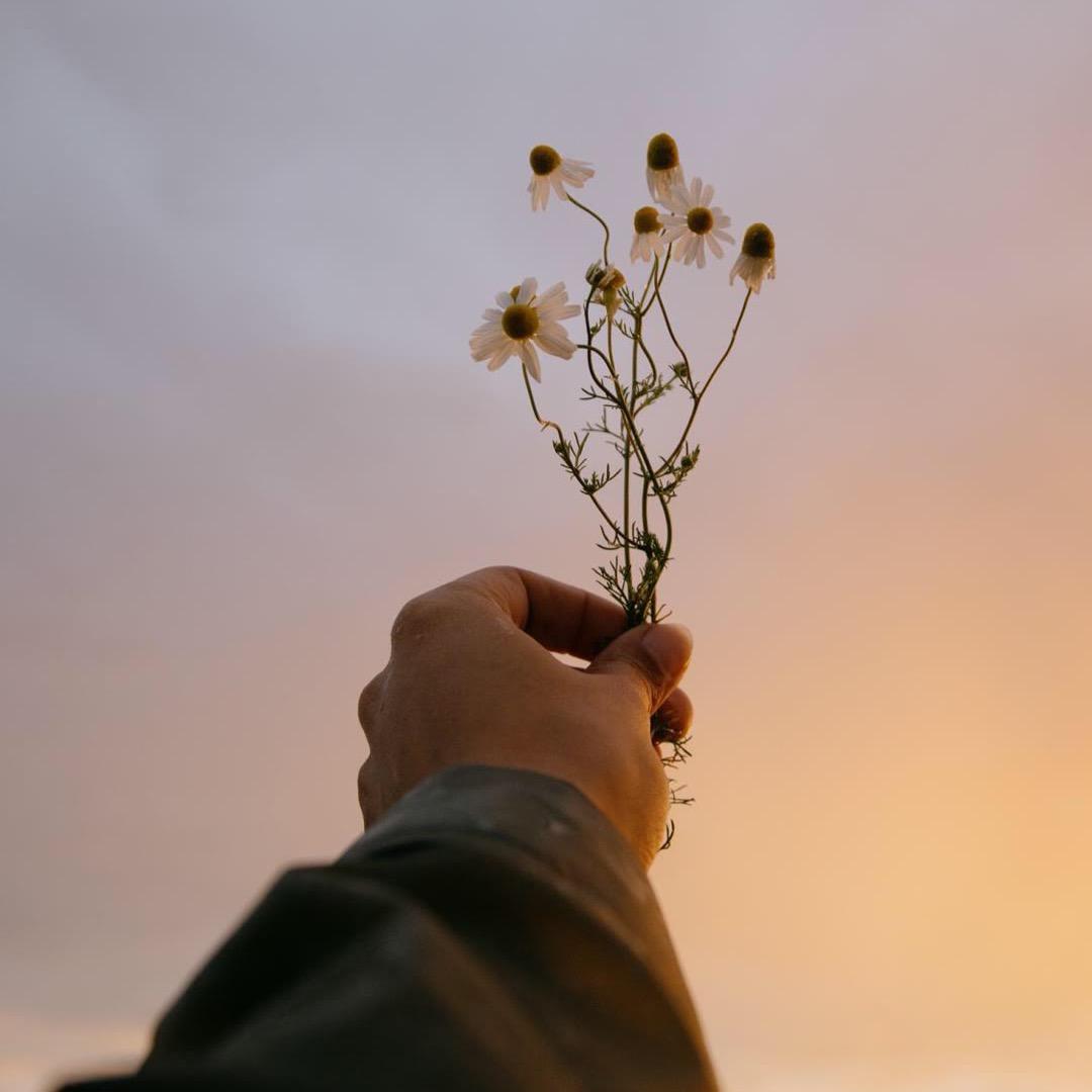 🌈🌈🌈🌈🌈🌈🌈🌈🌈🌈