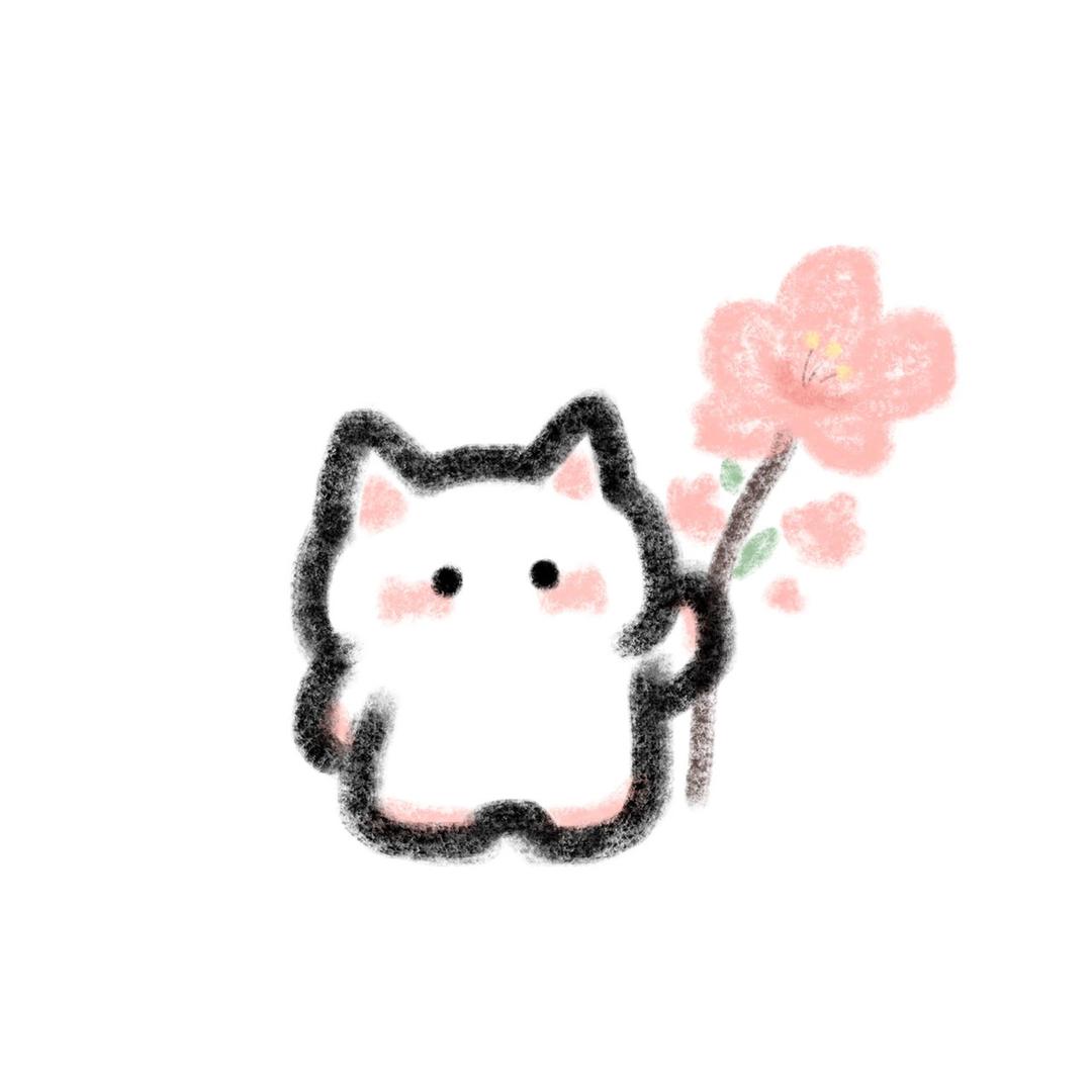 无解°