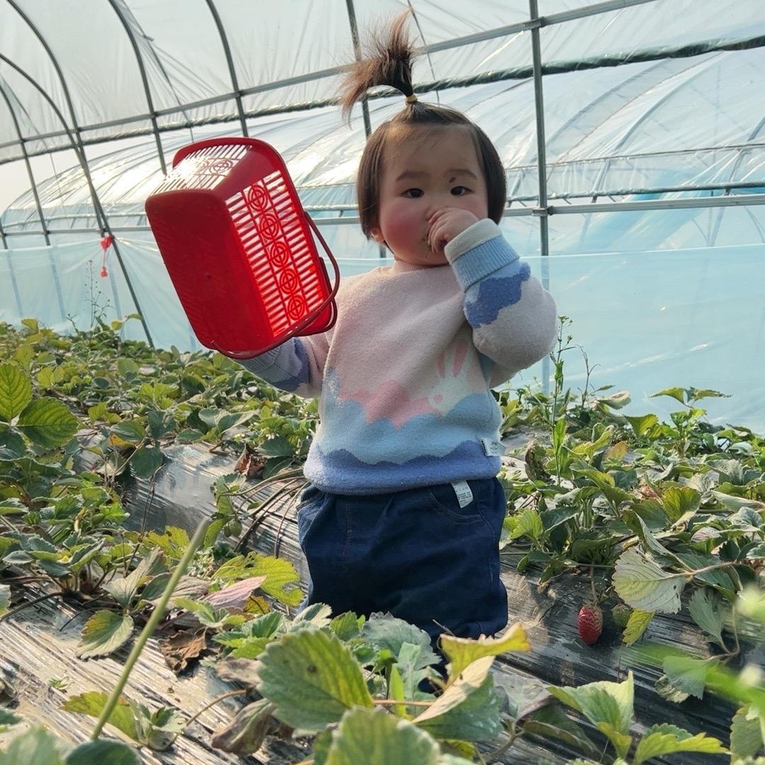 涵涵宝贝
