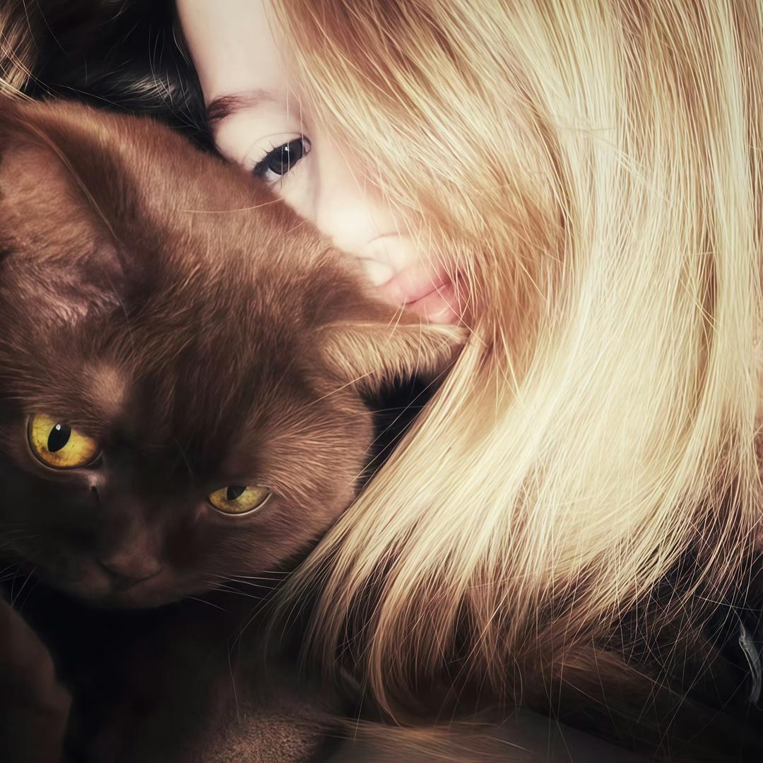 凌晨一点的猫🐾