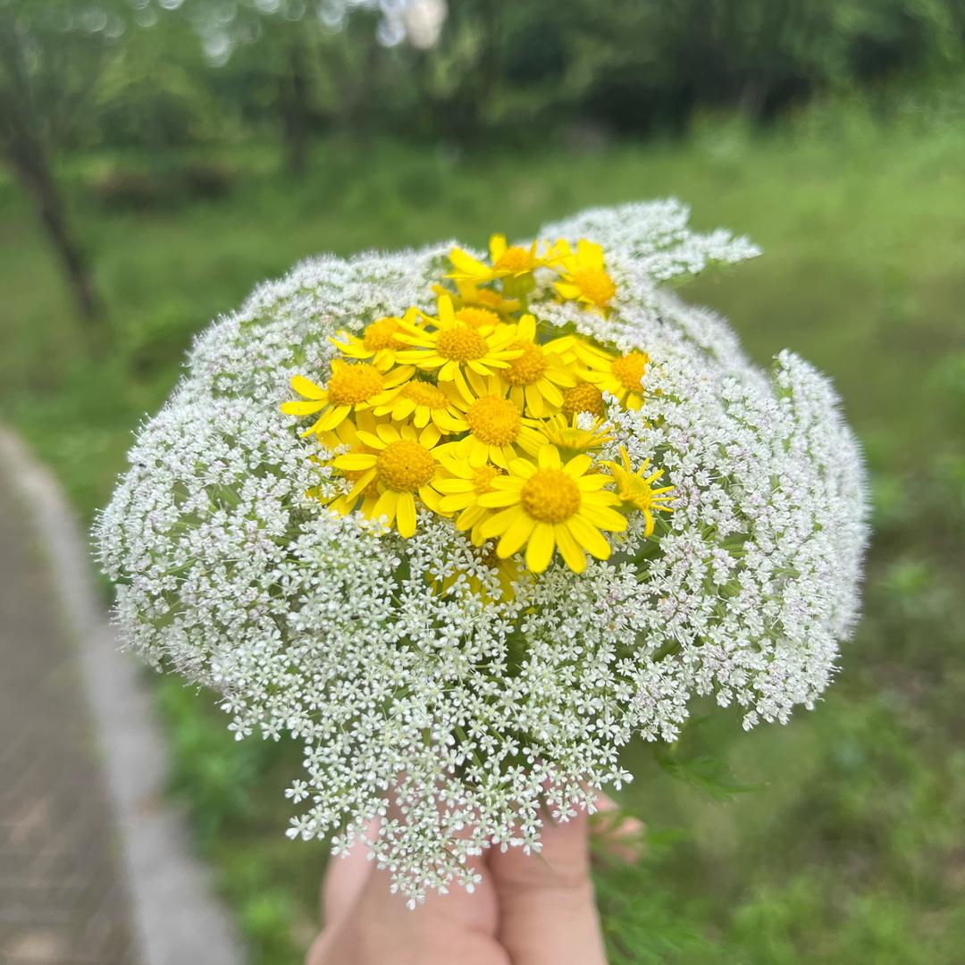 笑靥如花