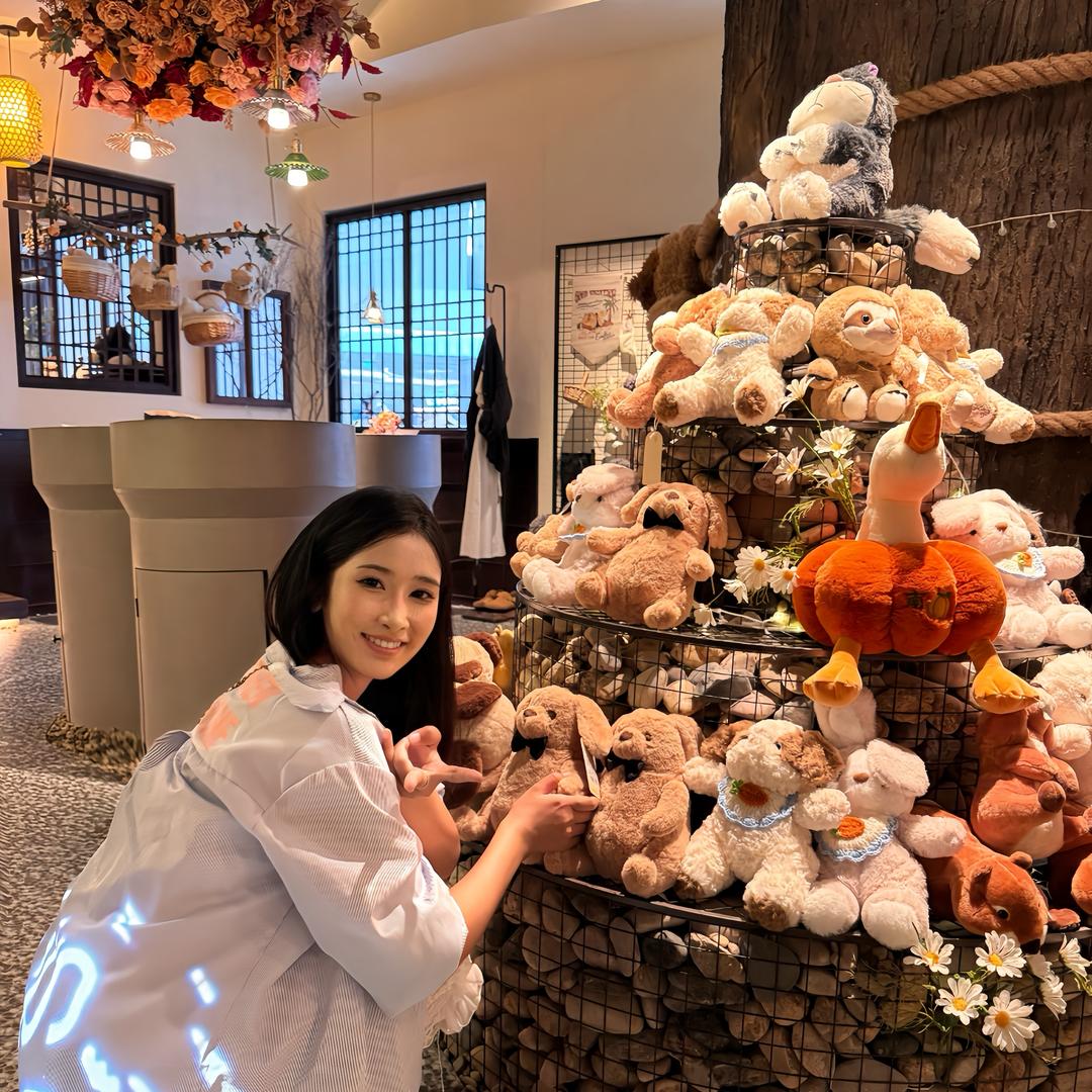 呆呆猫🧸