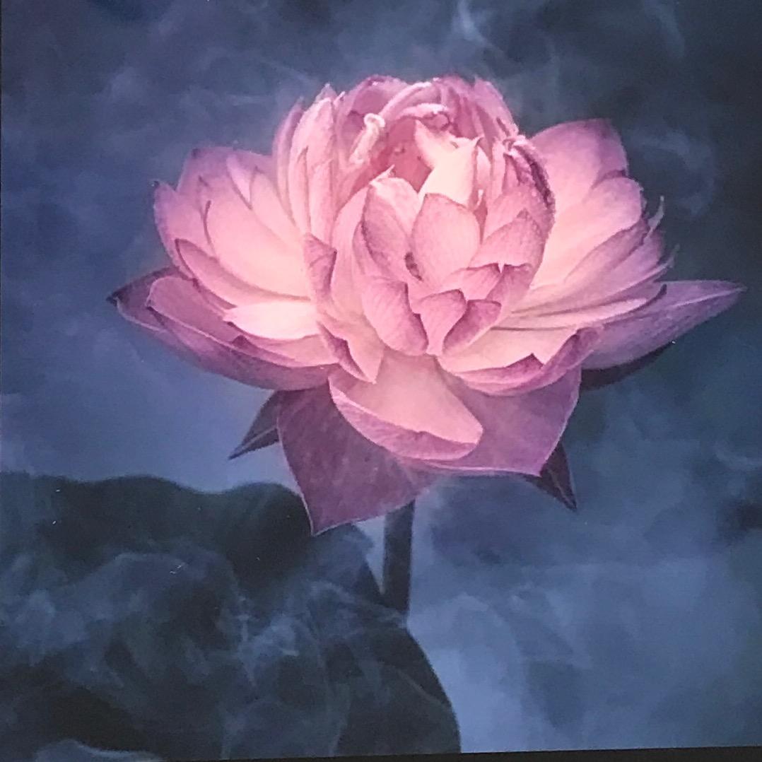 莲池师傅