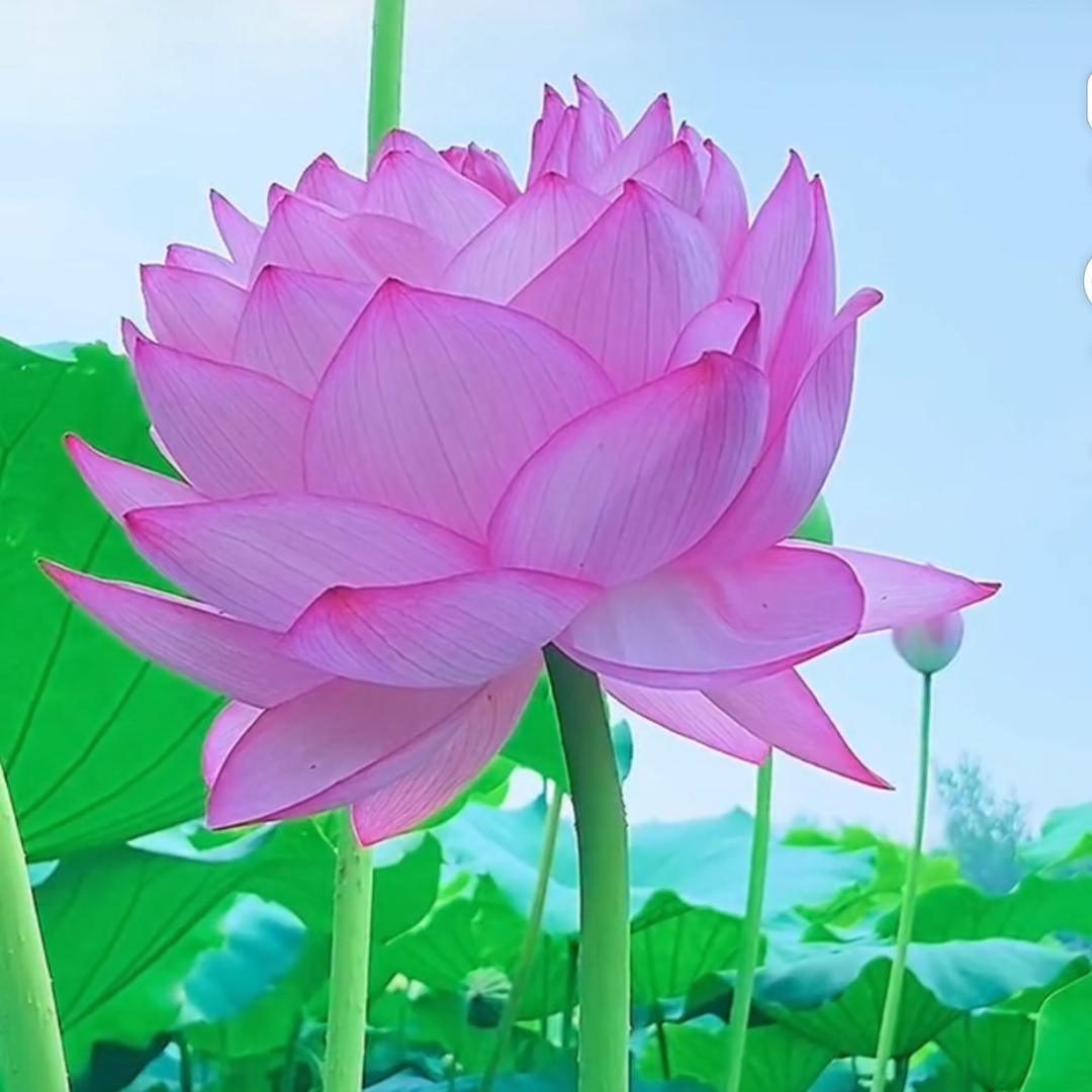 123+(拒绝私聊)