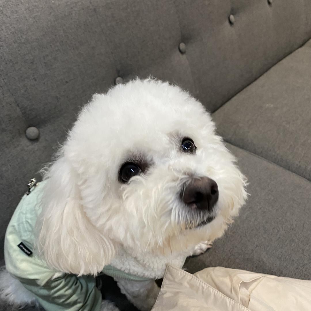 🍀姜姜吖