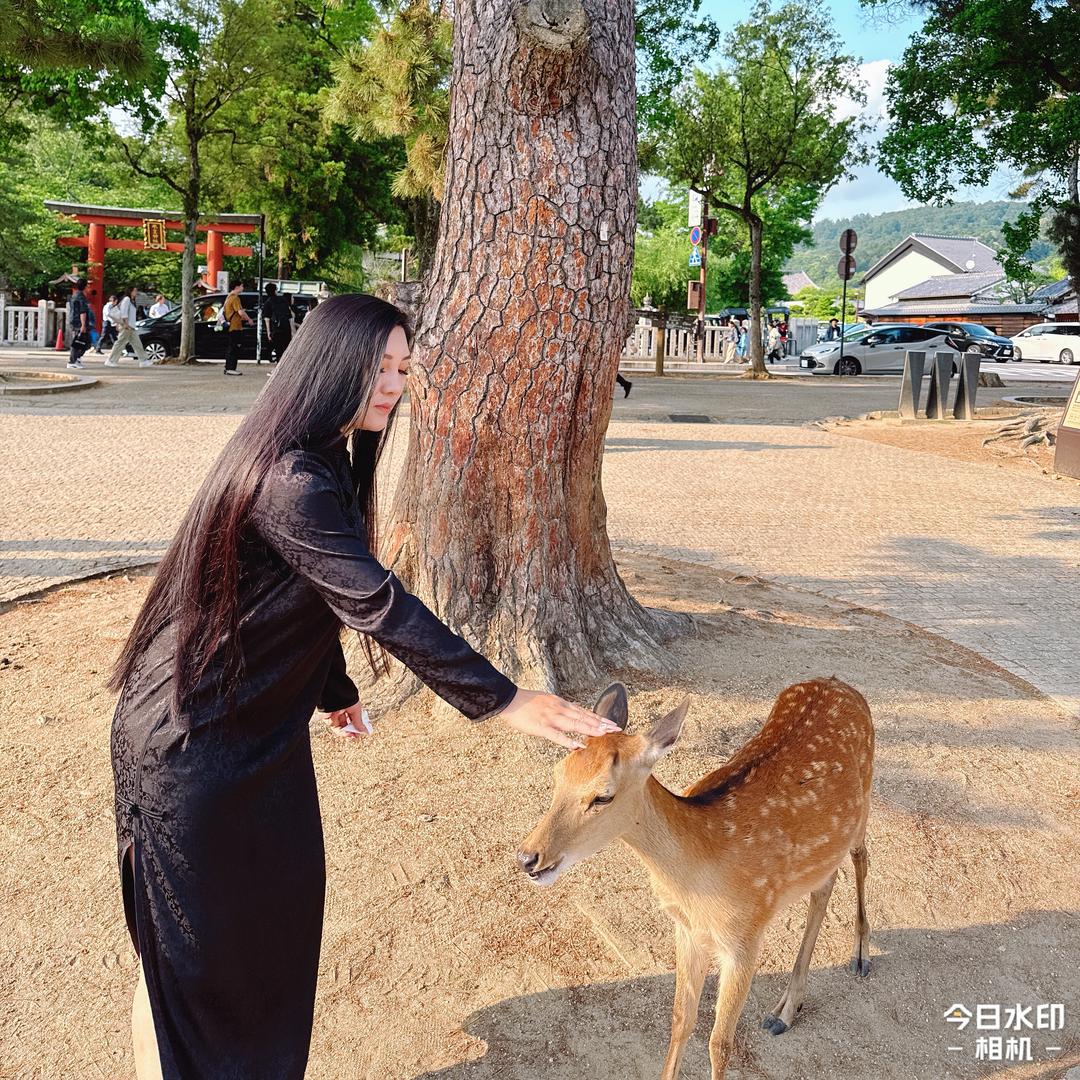 叁姑娘（长发姐姐）