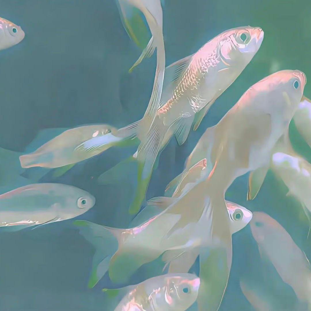 么有榛子奶油🌰