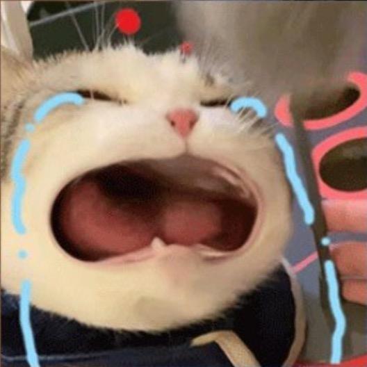 禁术🤪