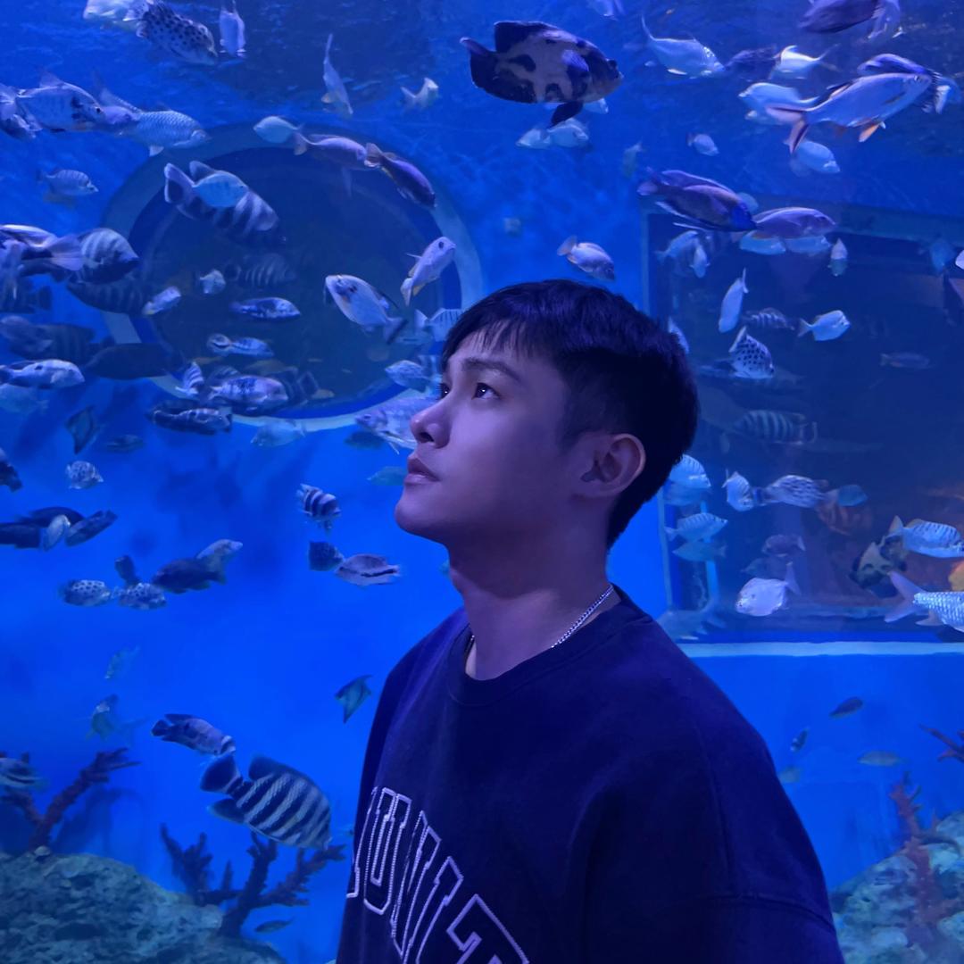 大明星
