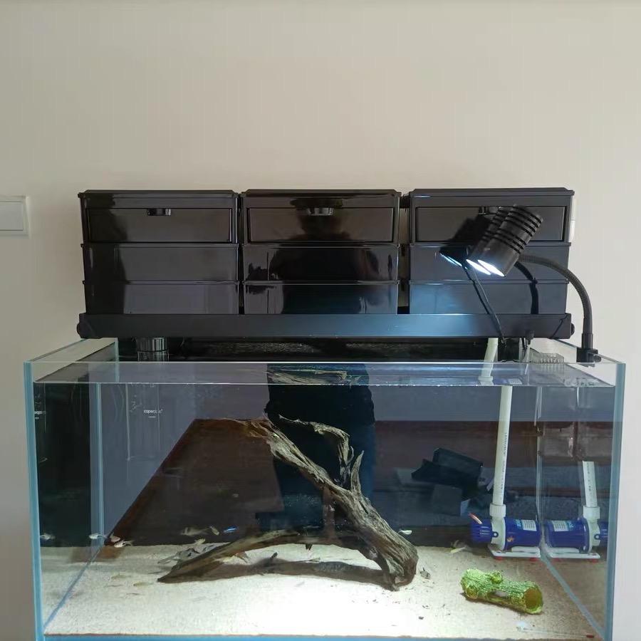 明日之星水族店
