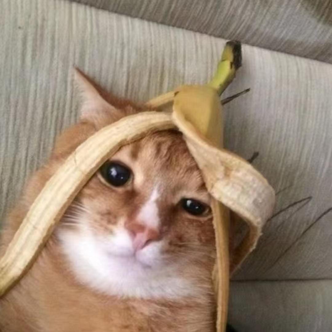 微疯朋友圈