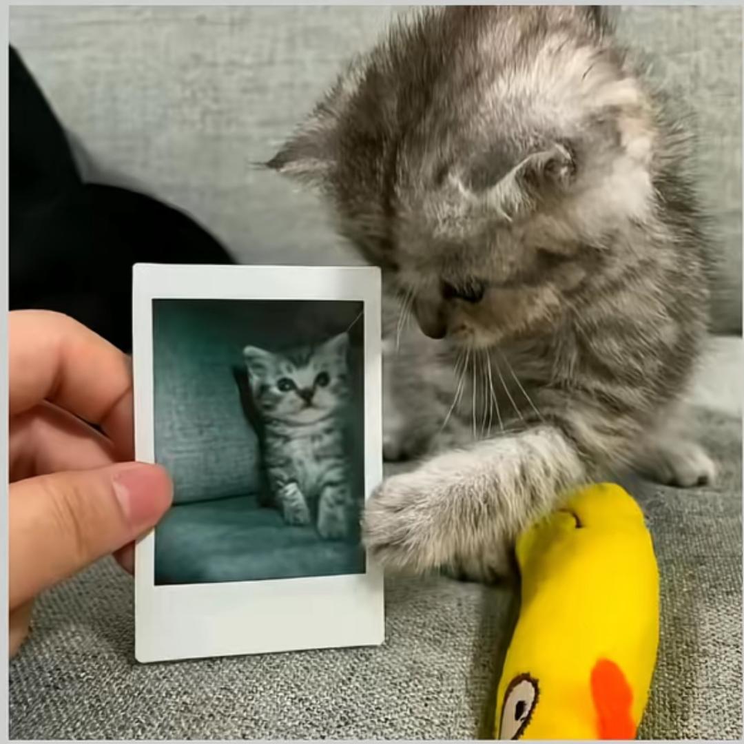 195社恐纯情男大