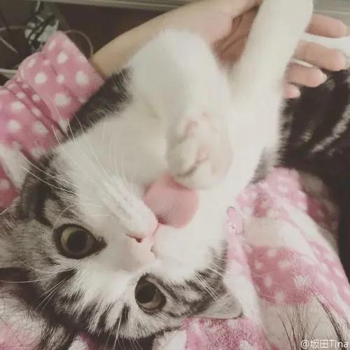 潮汕涛在深圳