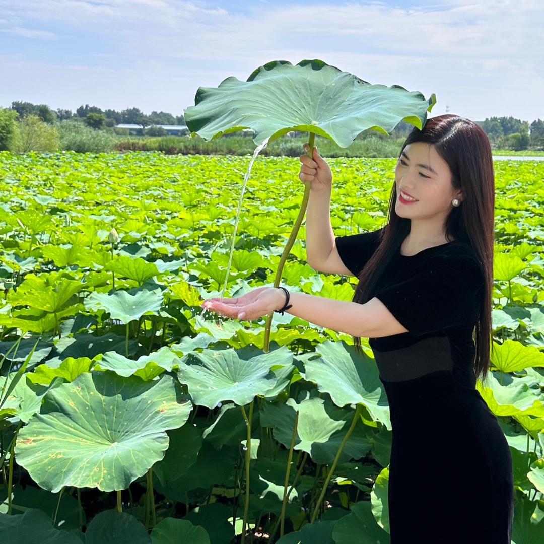 石埠贝贝烟花