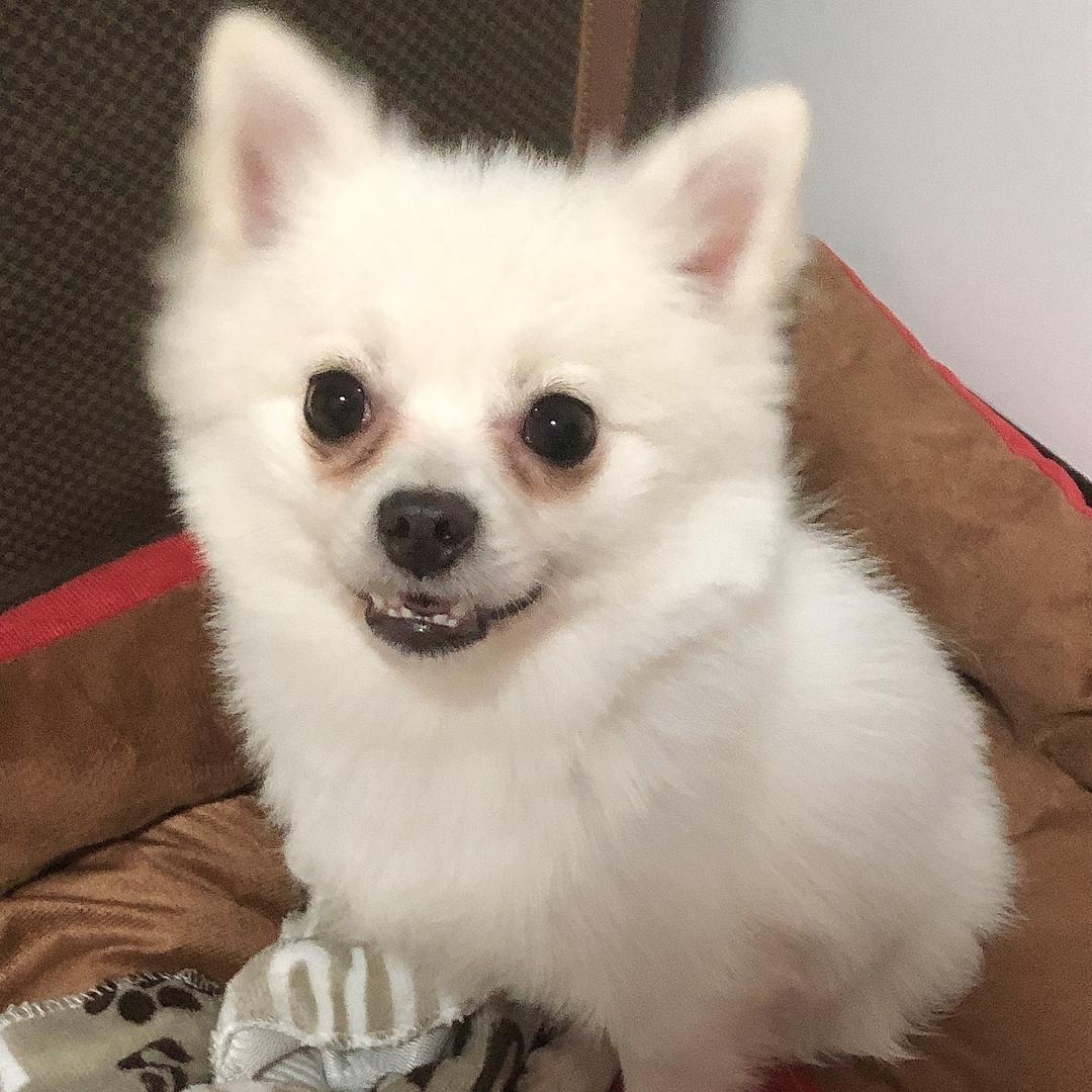 老婆开心全家开心