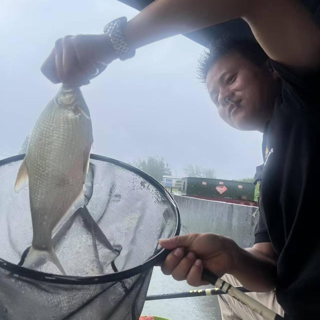 孤独的鲨鱼