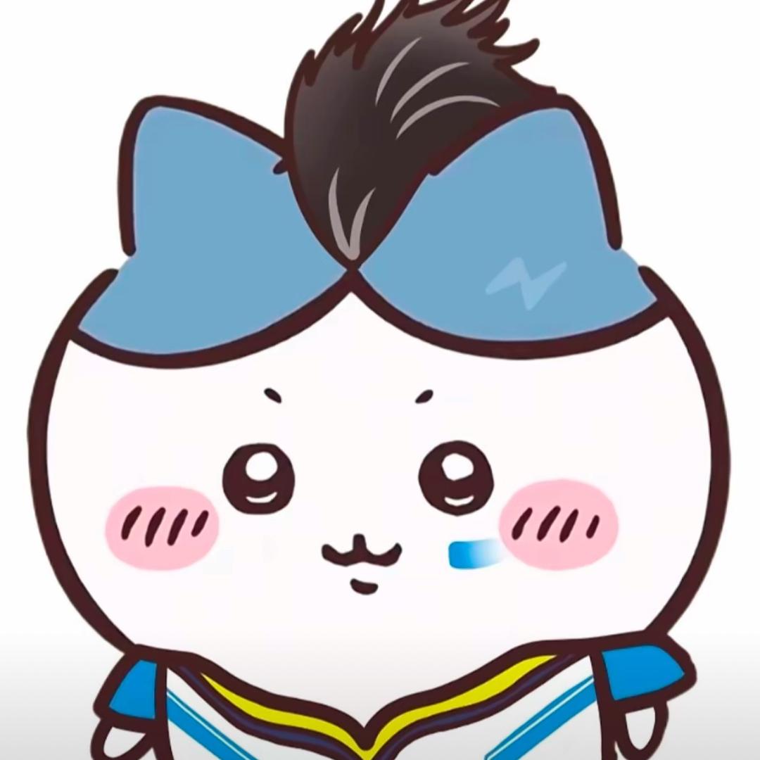 愤怒的小鸟🪶