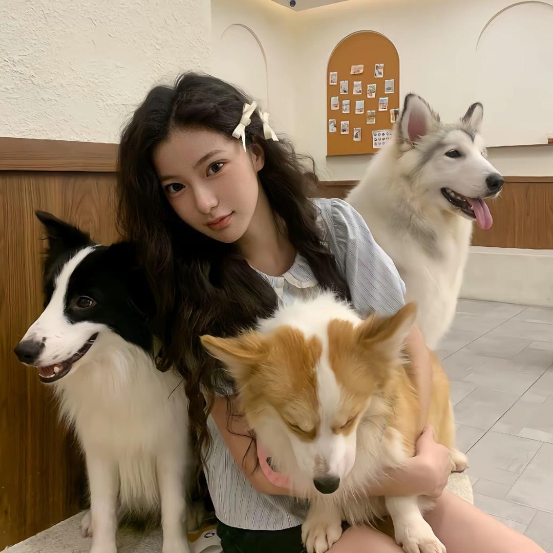 🌧️天才鱼🐟