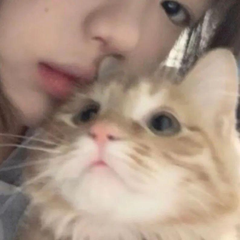 怎么总胃痛