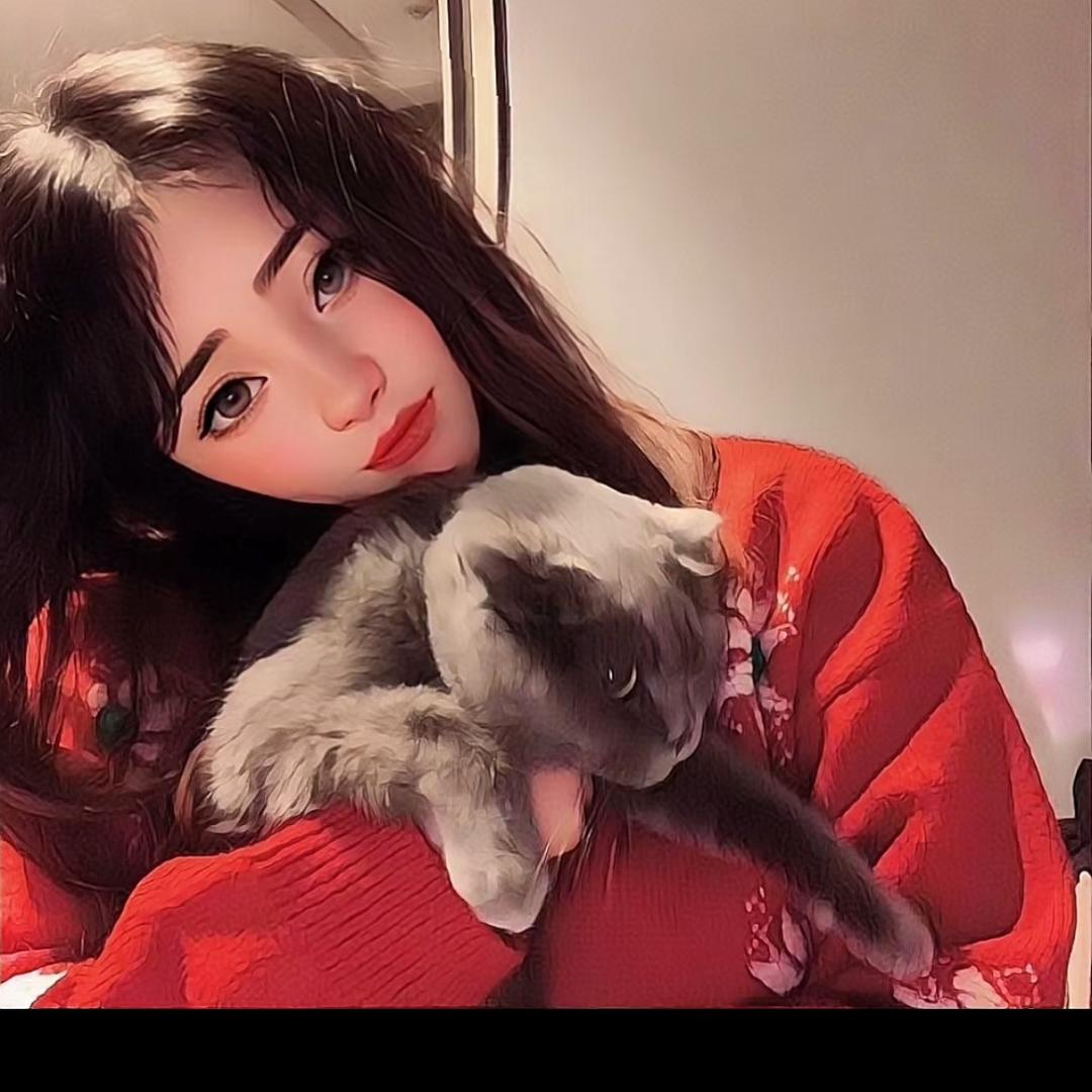 莉娜ms（改造老房子）