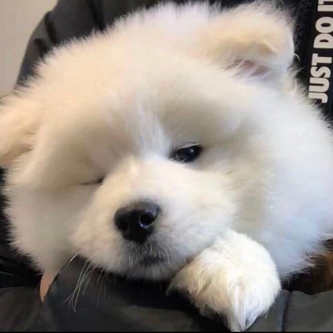 华亿新视界👉李俞庆