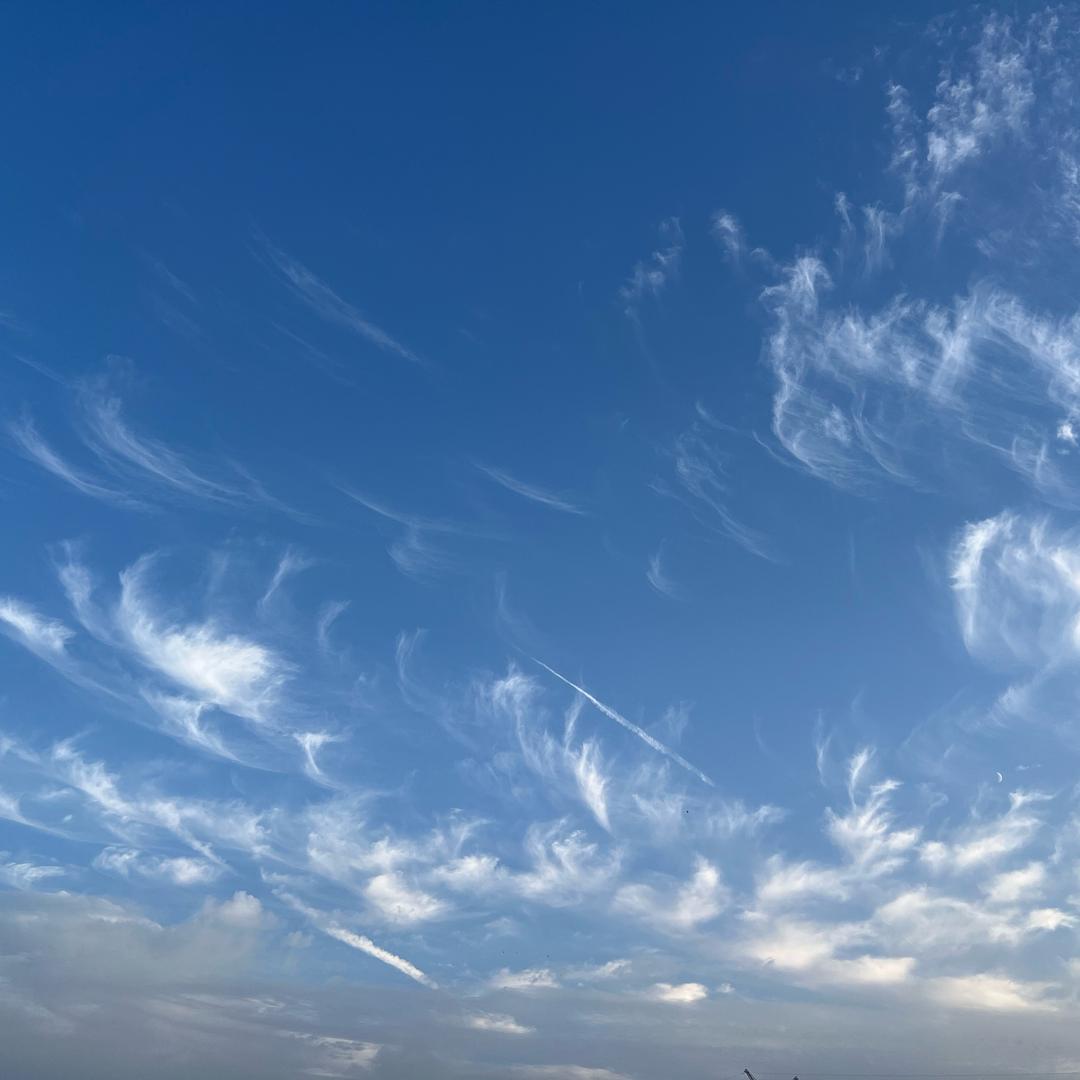 -”Co∞烟酒疗。 心伤