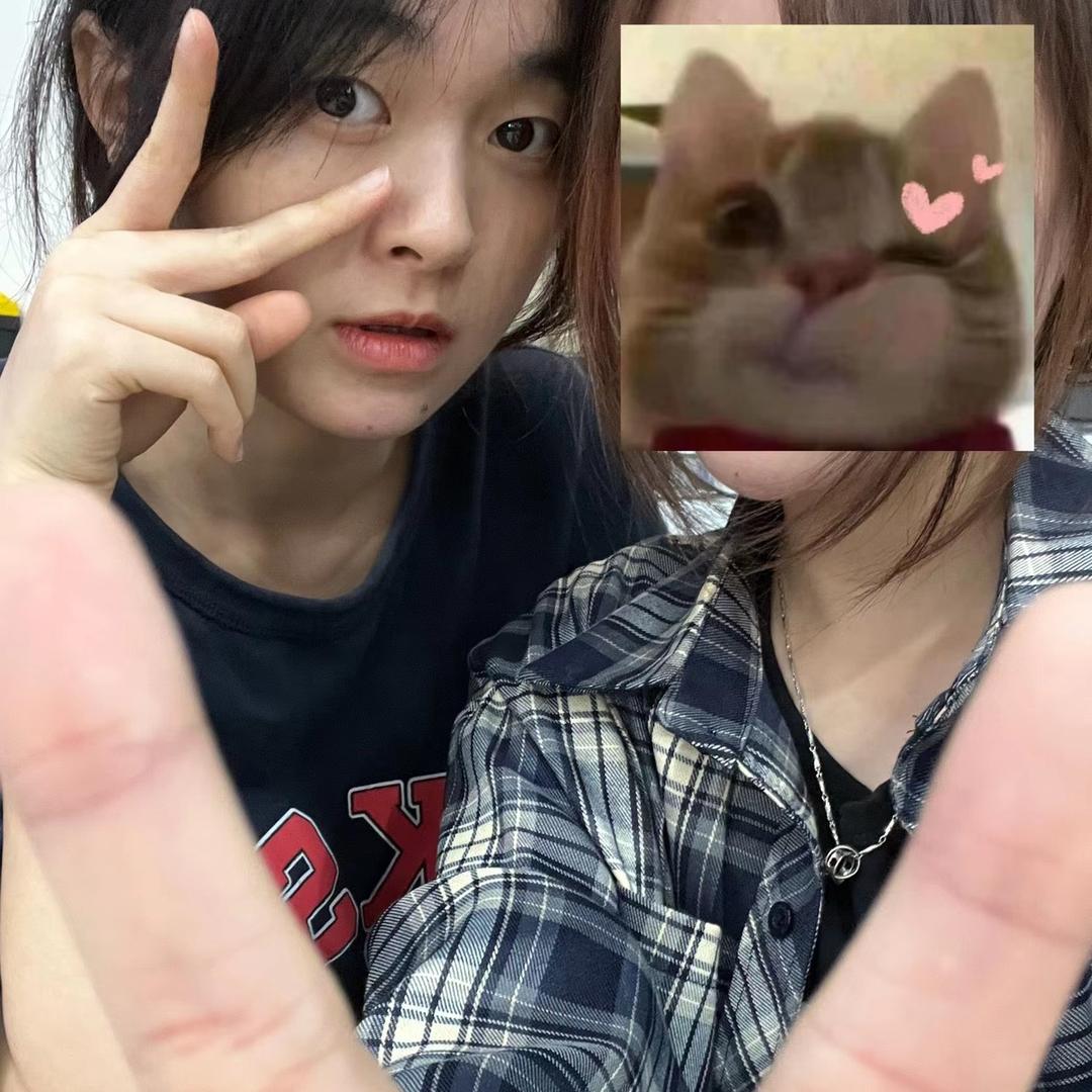 法哥