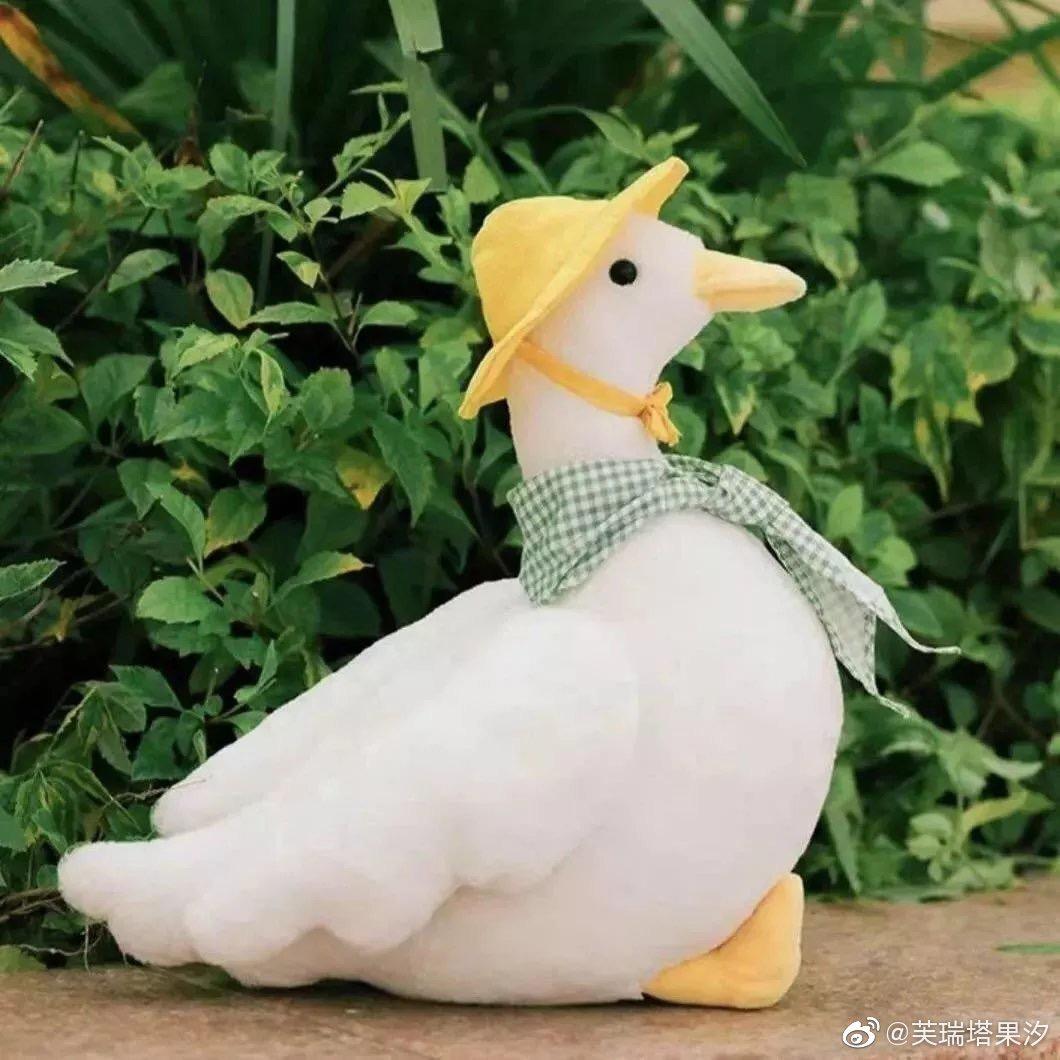 辣条炒饭.گ