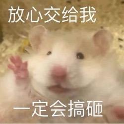 蜂医爱跑刀