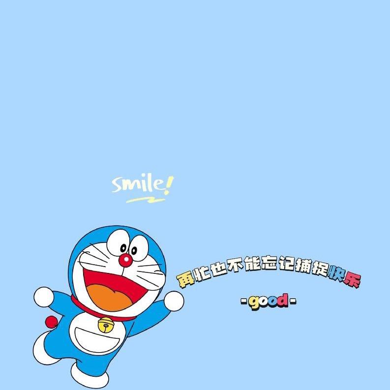 是团团呀