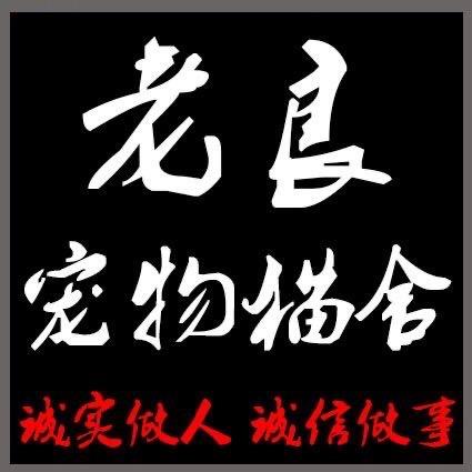 老良猫舍