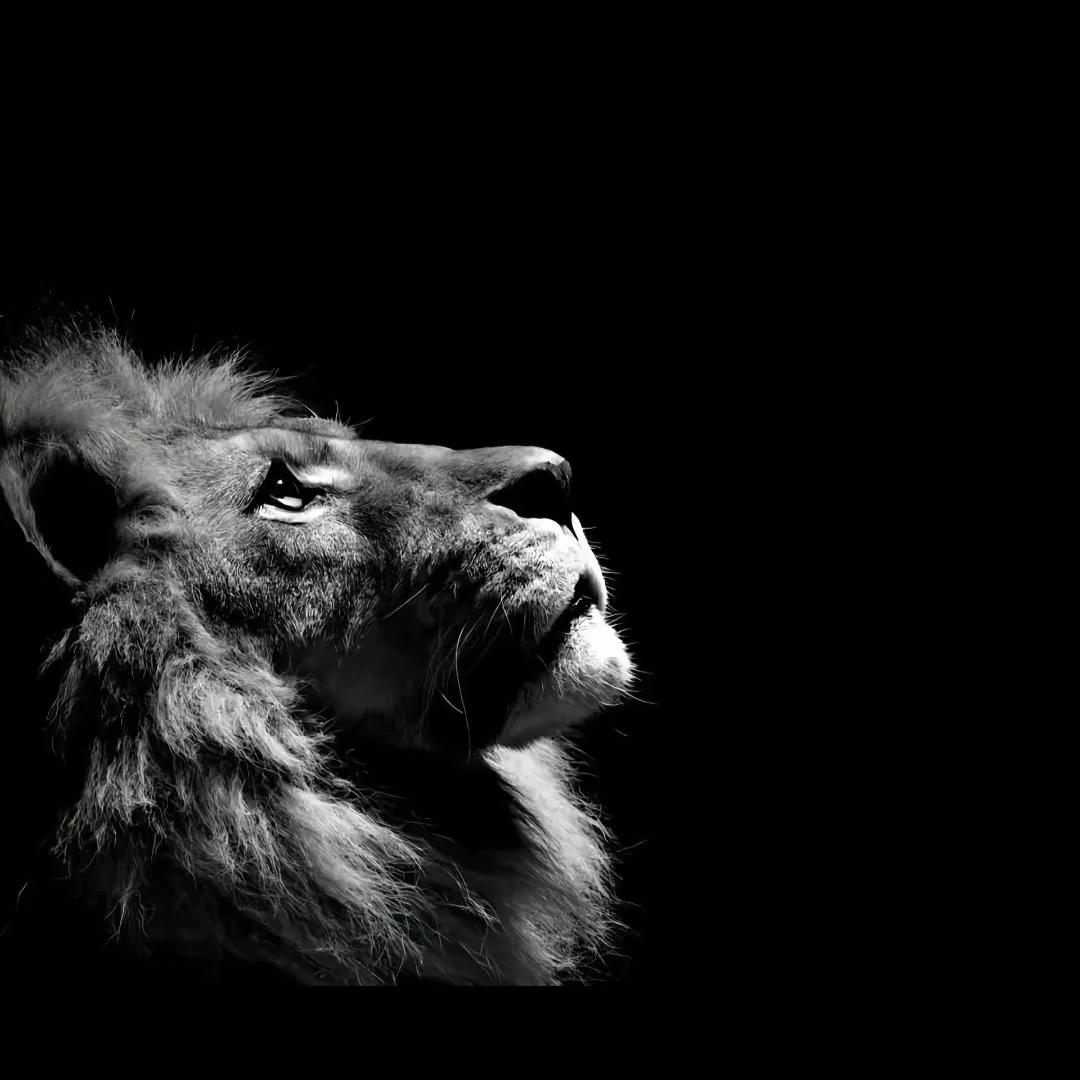 天都黑了，什么时候开饭？