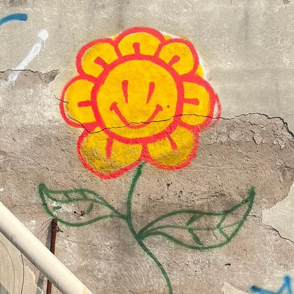 会飞的 小烤肠