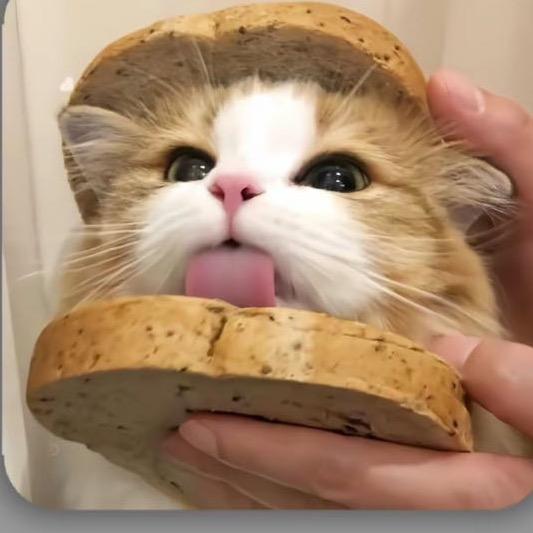 零贰
