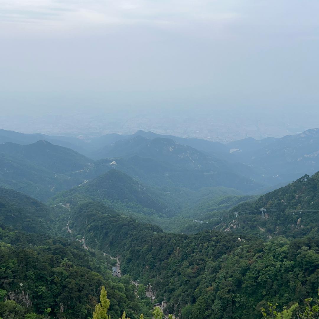 文登区姜鹏家庭农场