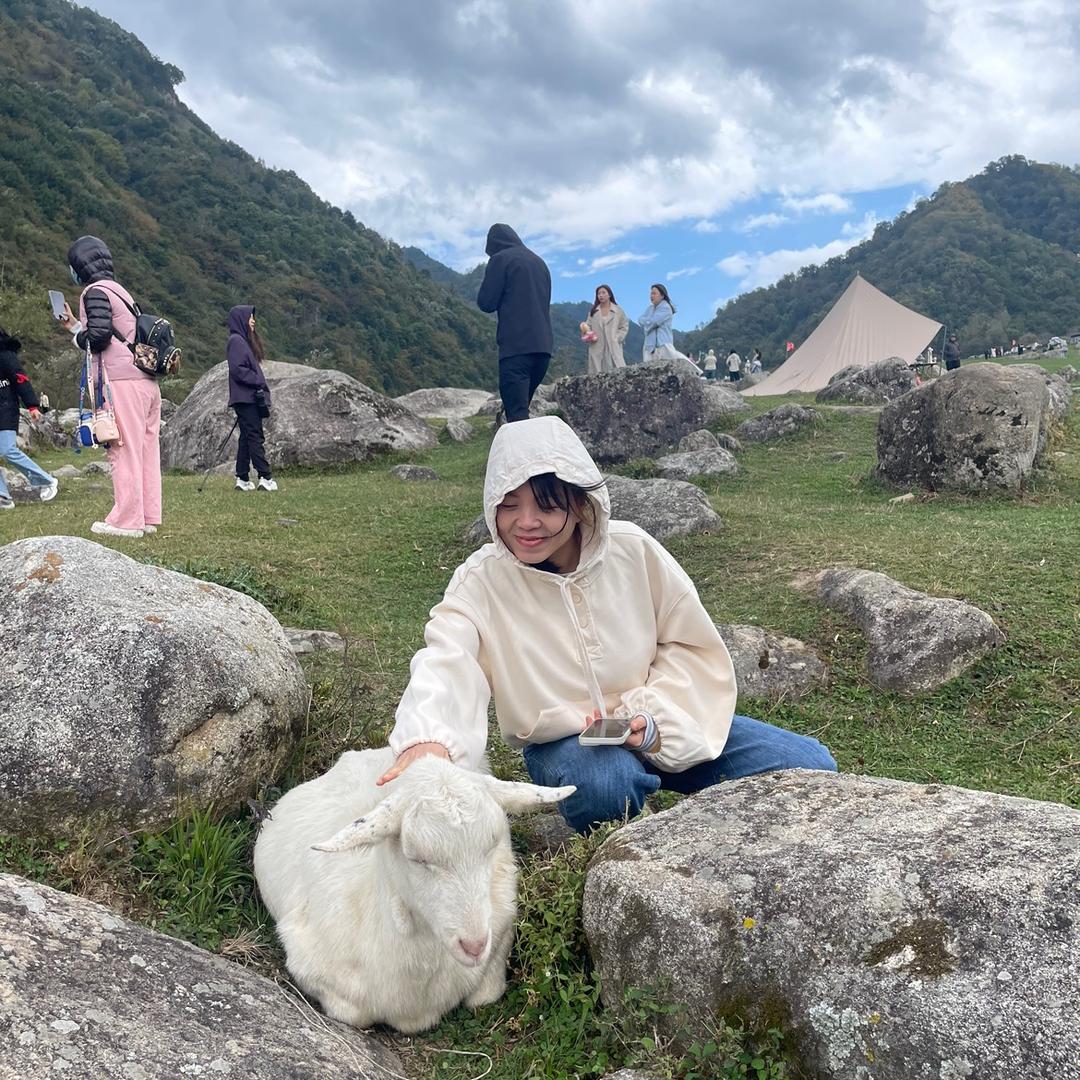 小鲤鱼
