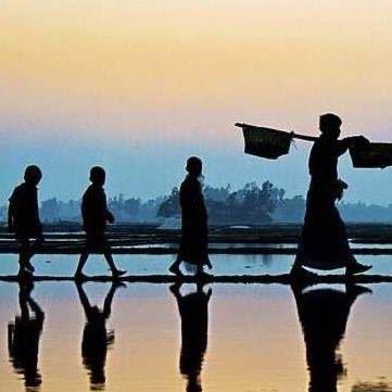 用脸刹车第一人