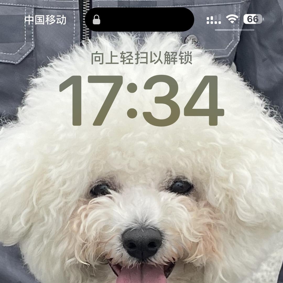 辰兴百货