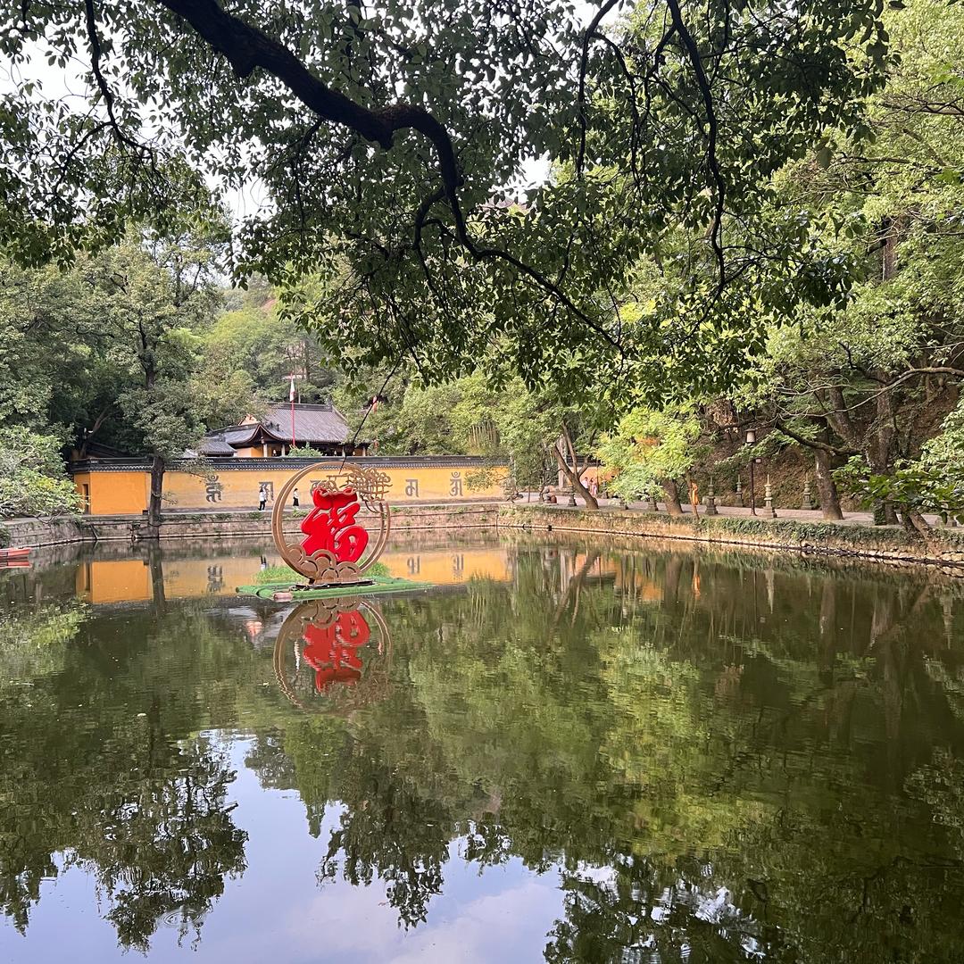 凡高的麦田