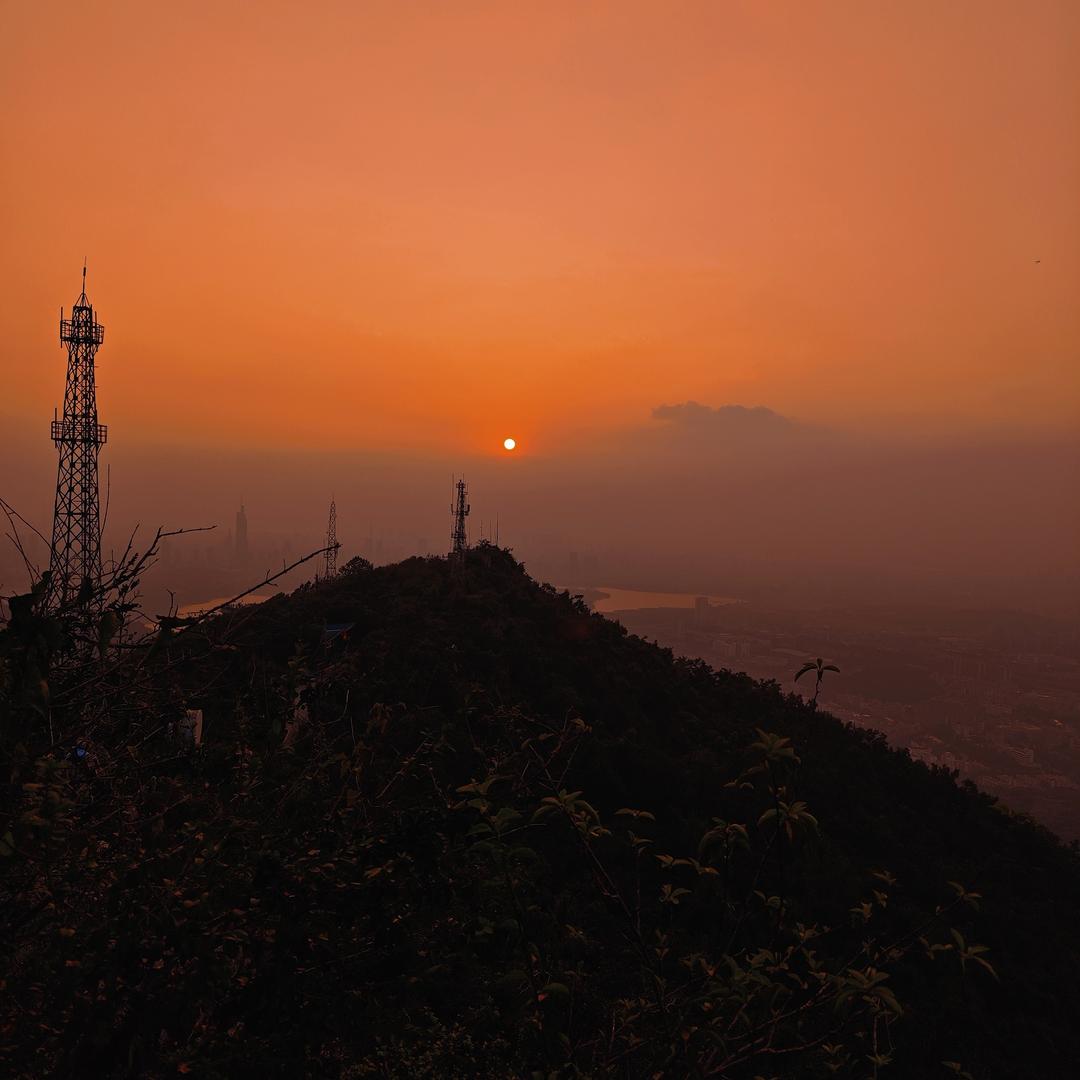 恐龙抗狼抗狼抗