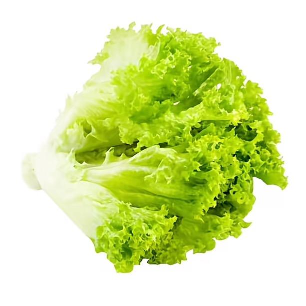 Vv